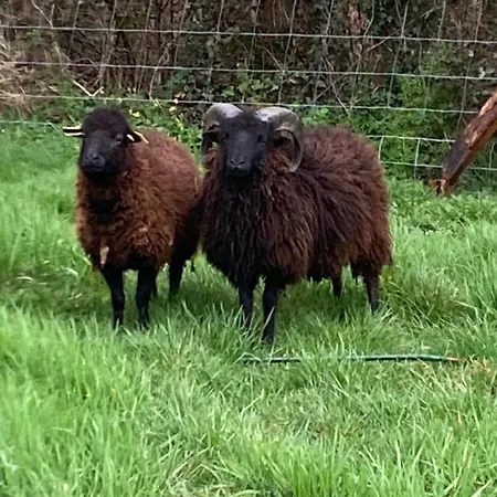  le Petit Verger  3*