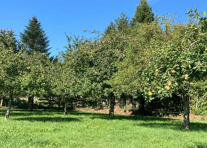 « le Petit Verger »