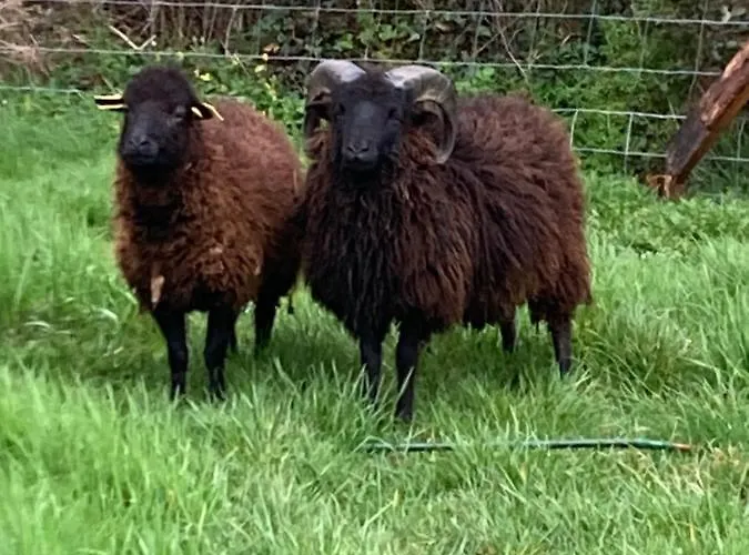 « le Petit Verger » 3*